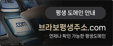 도메인안내